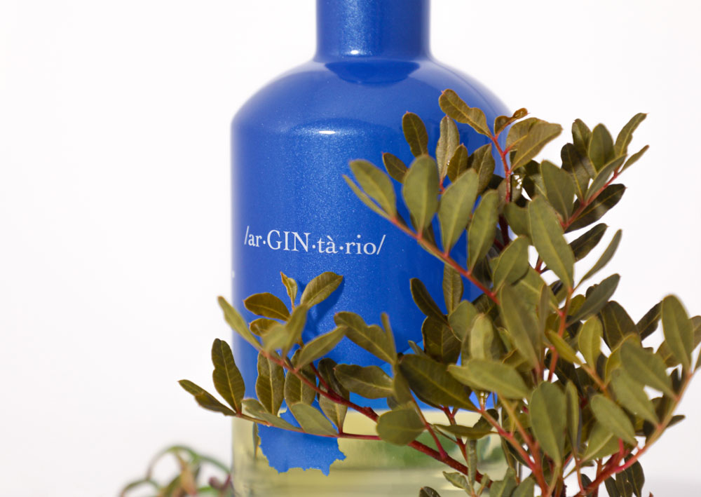 bottiglia gin Argintario con una delle botaniche utilizzate in primo piano